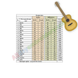 Guitar Applique