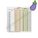 Eggplant applique