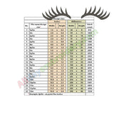 Eyelashes Embroidery